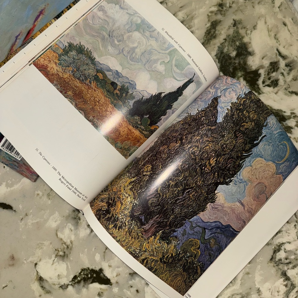 Vincent Van Gogh coffee table book (Phidal Art Series) - printed in Italy 1990 - Picture 10 of 16